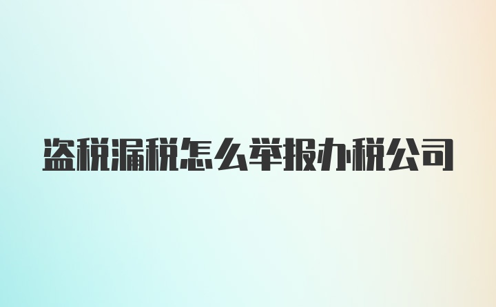 盗税漏税怎么举报办税公司