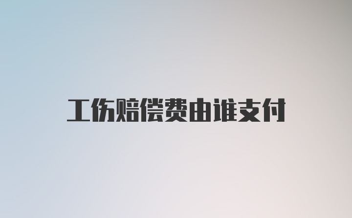 工伤赔偿费由谁支付