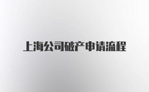 上海公司破产申请流程
