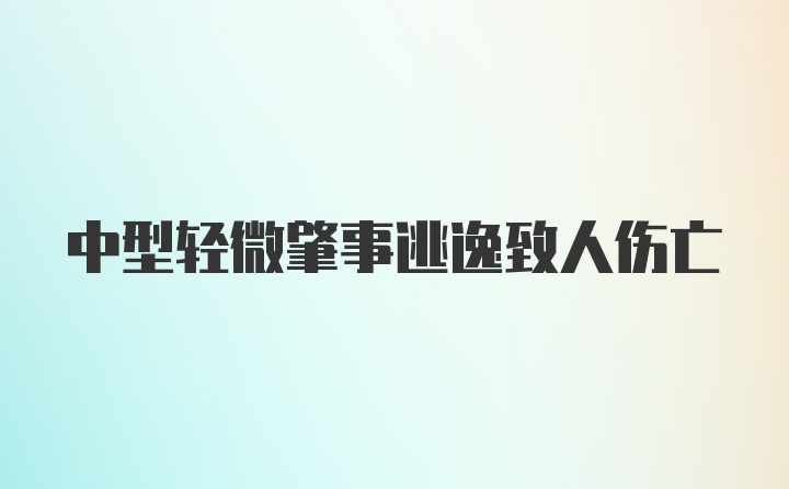 中型轻微肇事逃逸致人伤亡