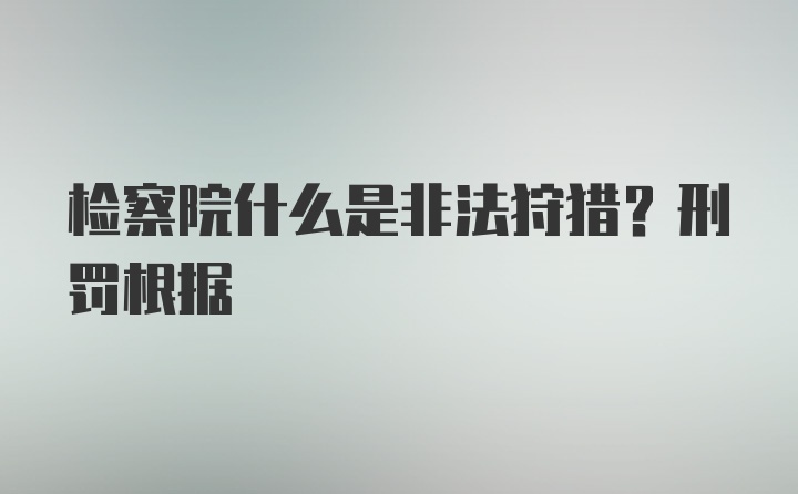 检察院什么是非法狩猎？刑罚根据