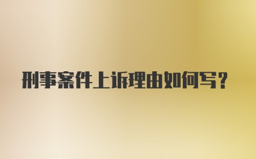 刑事案件上诉理由如何写？