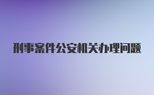 刑事案件公安机关办理问题