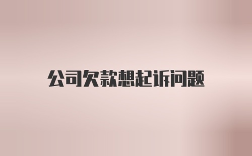 公司欠款想起诉问题