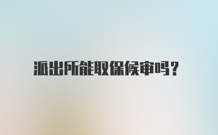 派出所能取保候审吗?