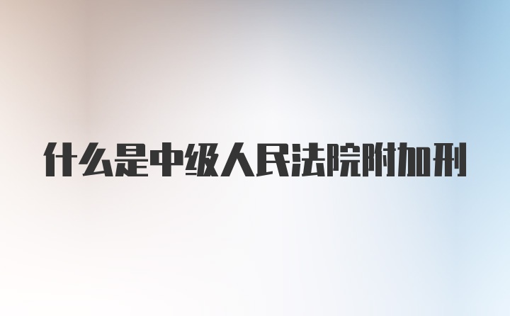 什么是中级人民法院附加刑