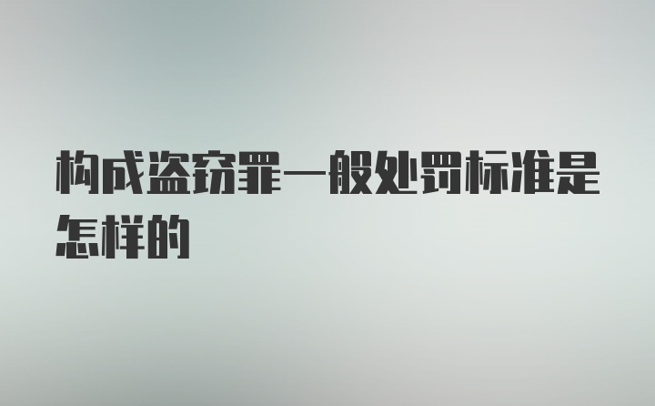 构成盗窃罪一般处罚标准是怎样的