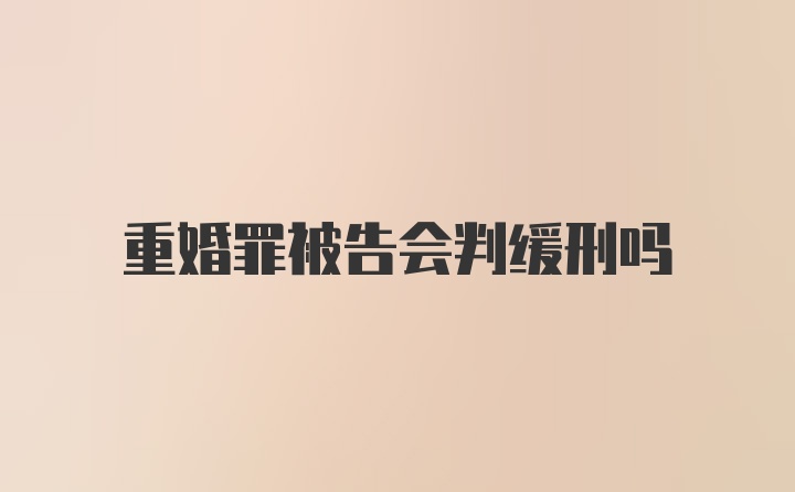 重婚罪被告会判缓刑吗