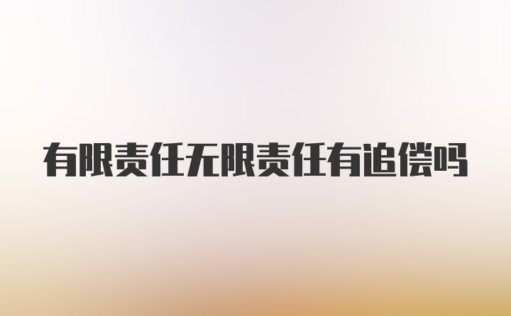 有限责任无限责任有追偿吗