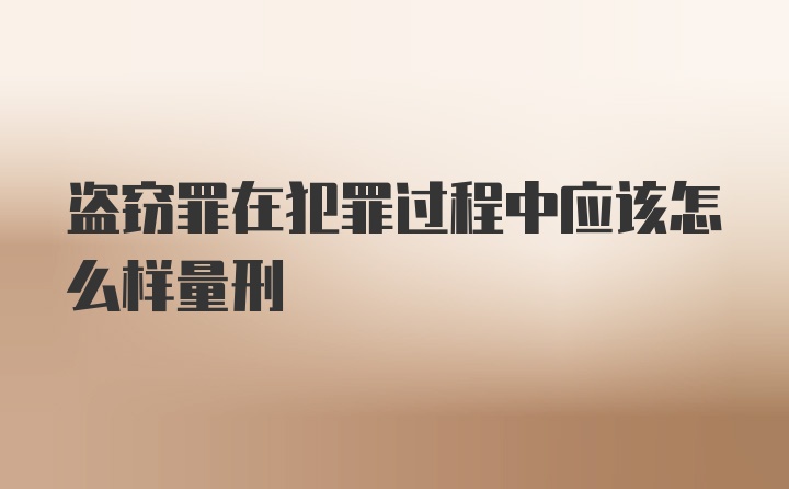 盗窃罪在犯罪过程中应该怎么样量刑