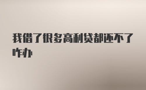 我借了很多高利贷都还不了咋办