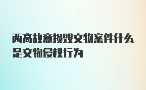 两高故意损毁文物案件什么是文物侵权行为