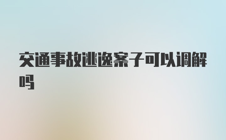 交通事故逃逸案子可以调解吗