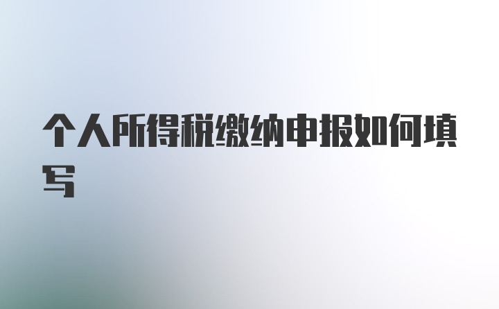 个人所得税缴纳申报如何填写