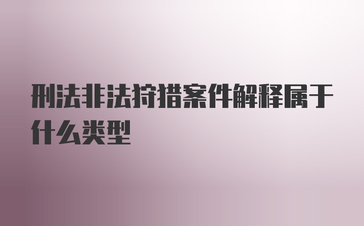 刑法非法狩猎案件解释属于什么类型