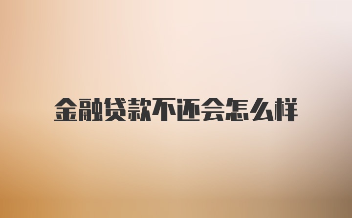 金融贷款不还会怎么样