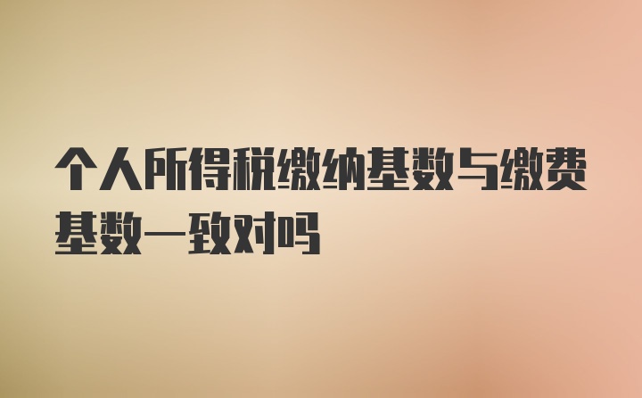 个人所得税缴纳基数与缴费基数一致对吗