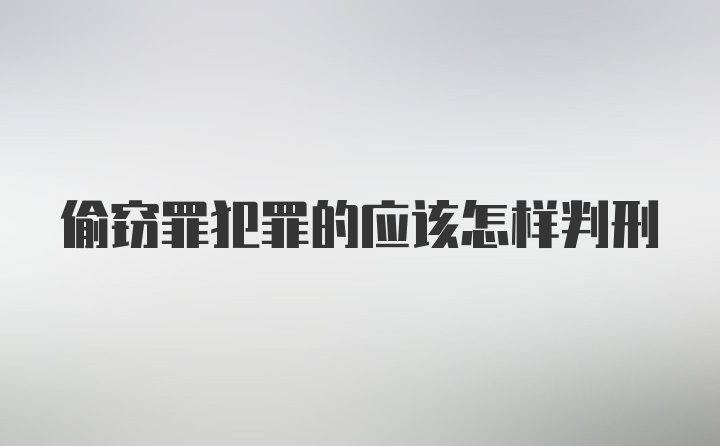 偷窃罪犯罪的应该怎样判刑