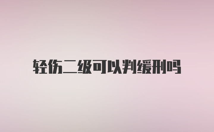 轻伤二级可以判缓刑吗