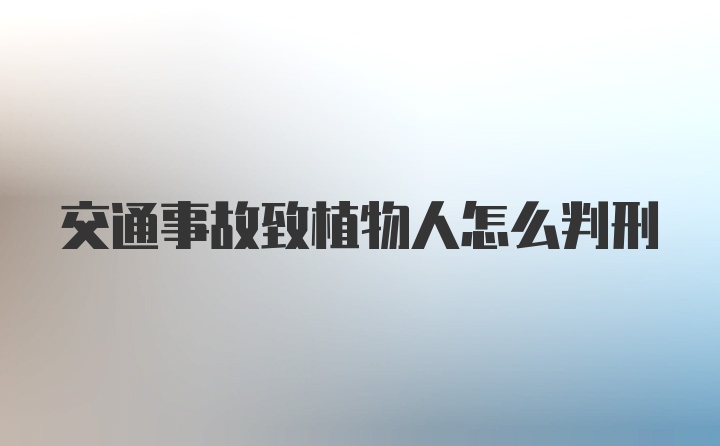 交通事故致植物人怎么判刑