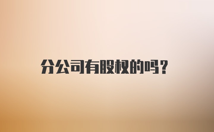 分公司有股权的吗？