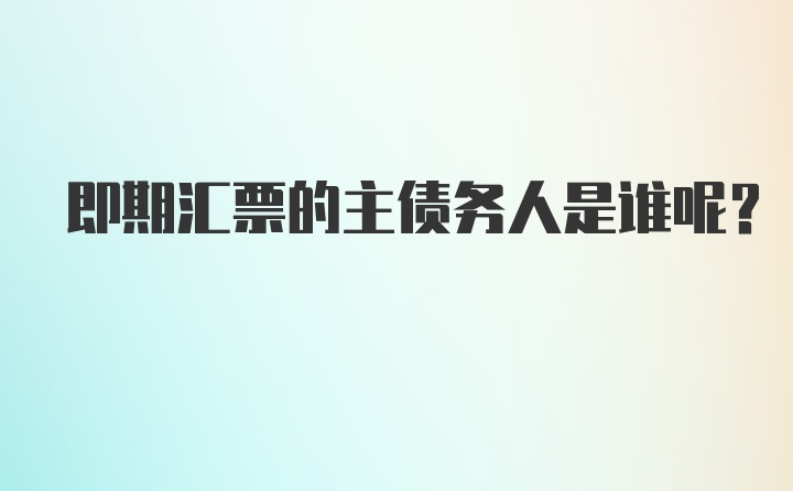 即期汇票的主债务人是谁呢？