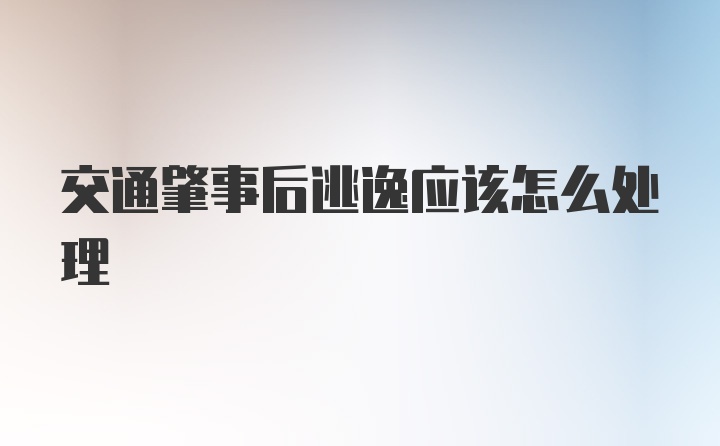 交通肇事后逃逸应该怎么处理