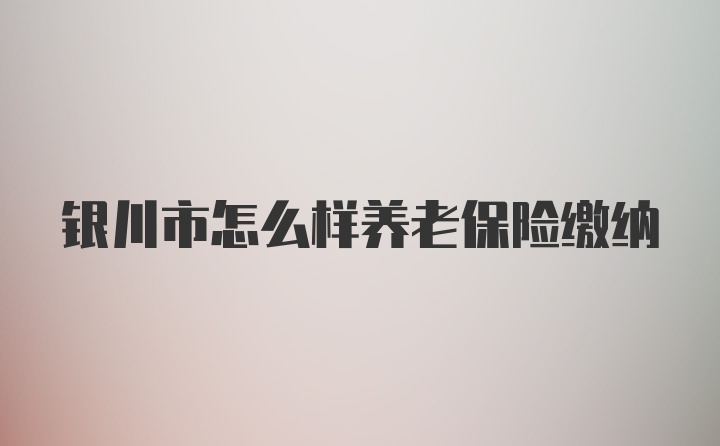 银川市怎么样养老保险缴纳