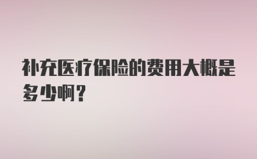 补充医疗保险的费用大概是多少啊？