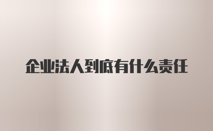 企业法人到底有什么责任