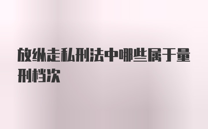 放纵走私刑法中哪些属于量刑档次