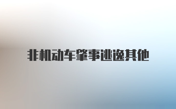 非机动车肇事逃逸其他