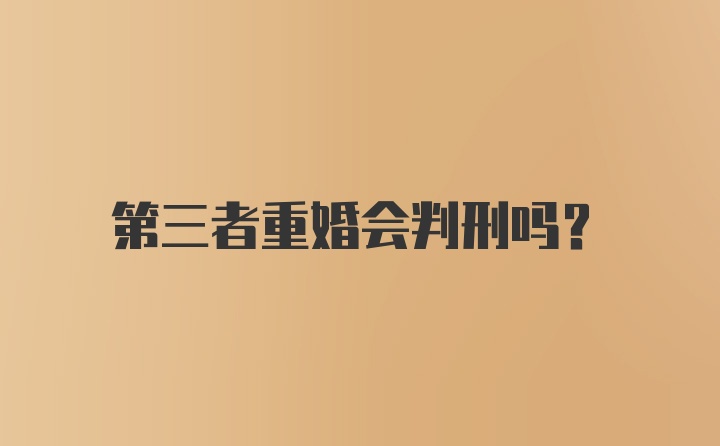 第三者重婚会判刑吗?