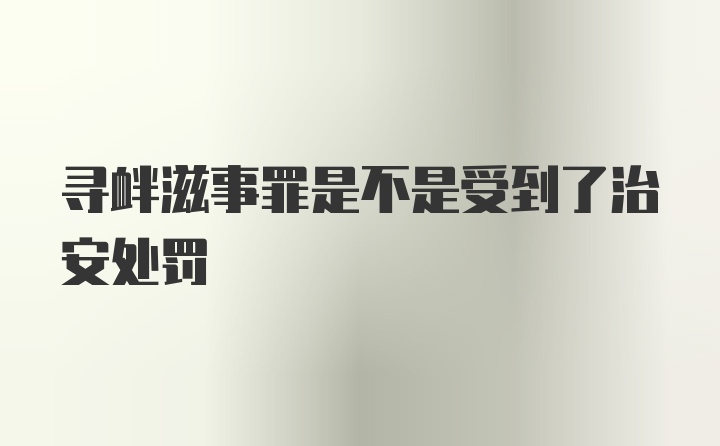 寻衅滋事罪是不是受到了治安处罚