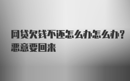 网贷欠钱不还怎么办怎么办？恶意要回来