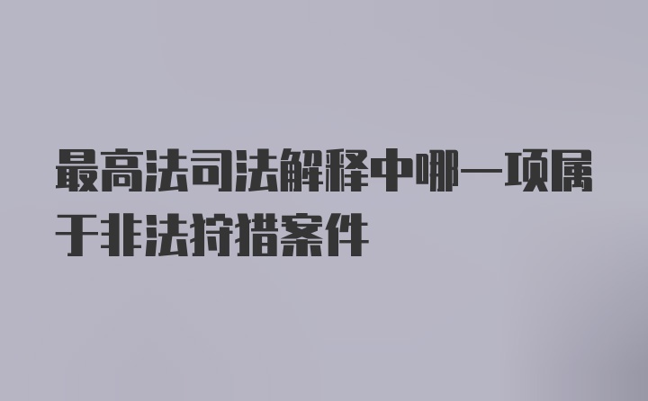 最高法司法解释中哪一项属于非法狩猎案件