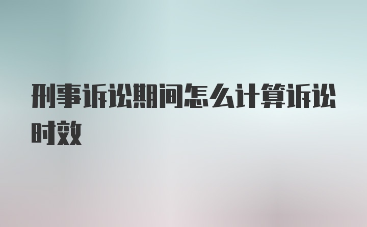 刑事诉讼期间怎么计算诉讼时效