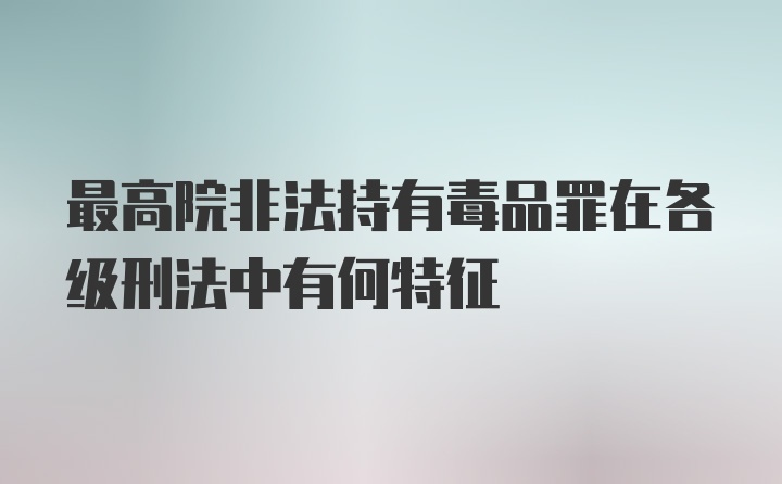 最高院非法持有毒品罪在各级刑法中有何特征