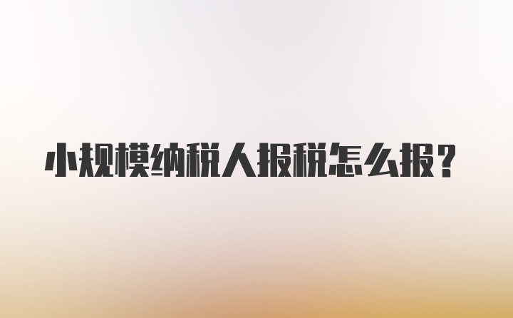 小规模纳税人报税怎么报？