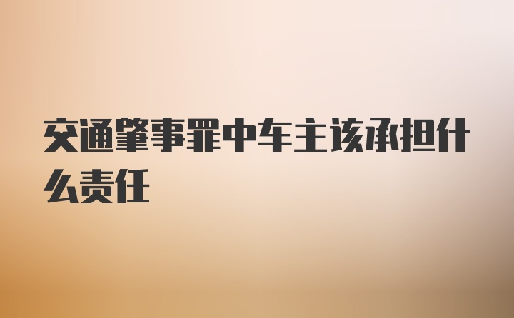 交通肇事罪中车主该承担什么责任