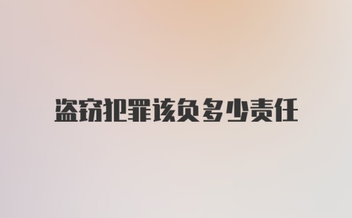 盗窃犯罪该负多少责任