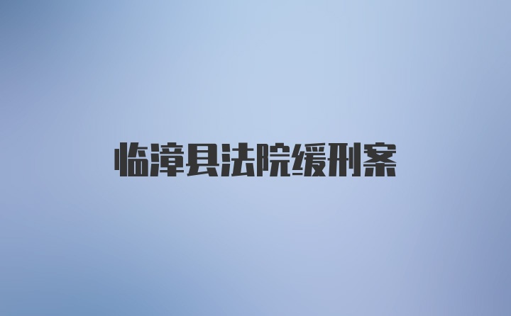 临漳县法院缓刑案