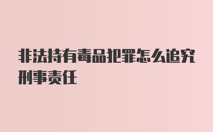 非法持有毒品犯罪怎么追究刑事责任