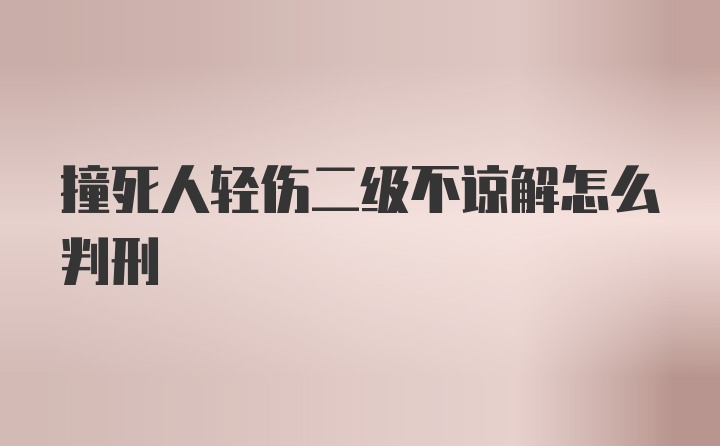 撞死人轻伤二级不谅解怎么判刑