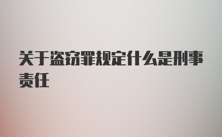 关于盗窃罪规定什么是刑事责任