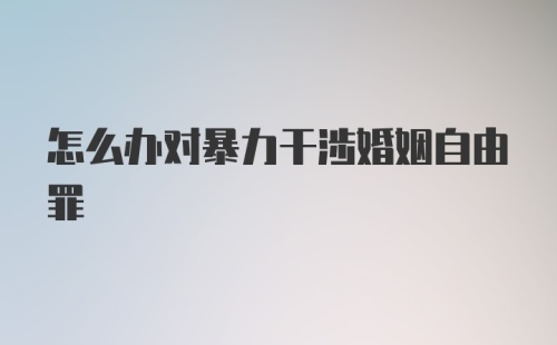 怎么办对暴力干涉婚姻自由罪