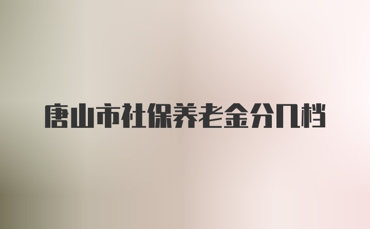 唐山市社保养老金分几档