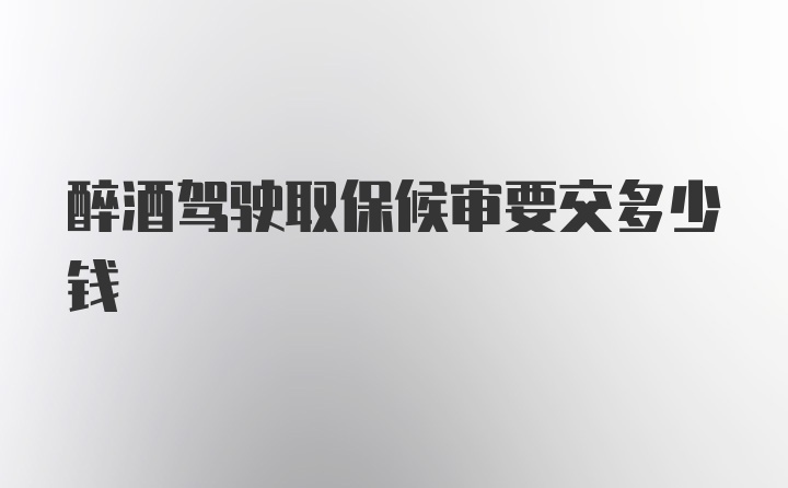 醉酒驾驶取保候审要交多少钱