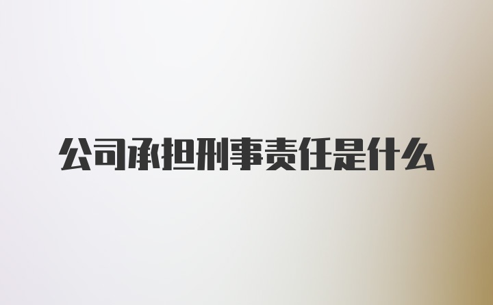 公司承担刑事责任是什么