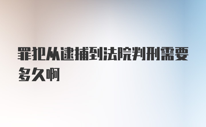 罪犯从逮捕到法院判刑需要多久啊